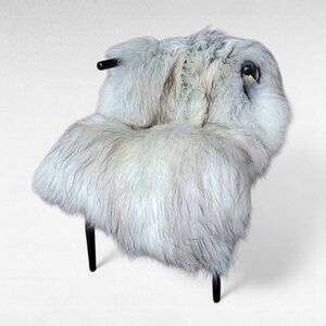 Large Light Gray Moorit Icelandic Sheepskin 52" x 33"